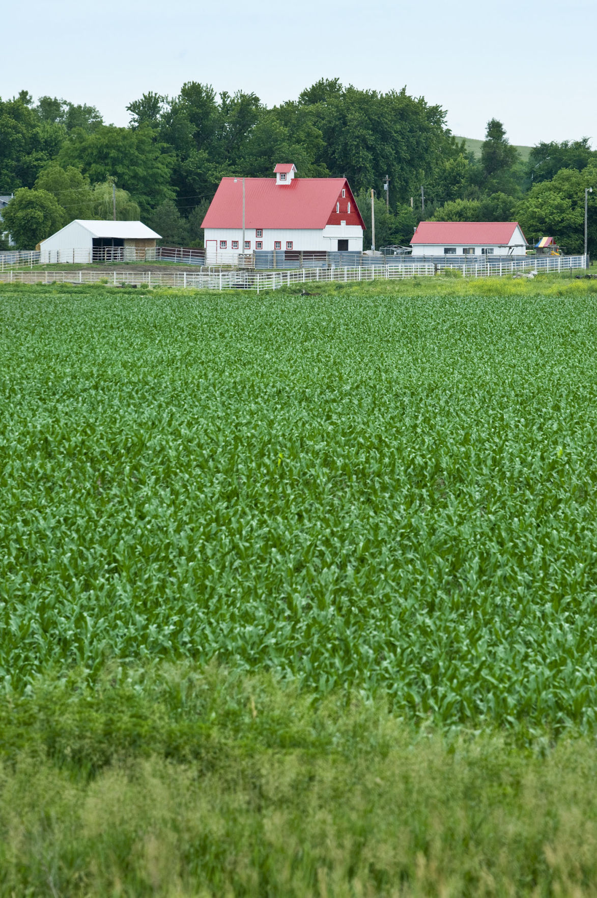 Barn on Highway 14 Neligh